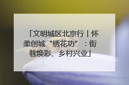 文明城区北京行丨怀柔创城“绣花功”：街巷焕彩、乡村兴业